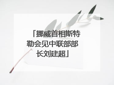挪威首相斯特勒会见中联部部长刘建超