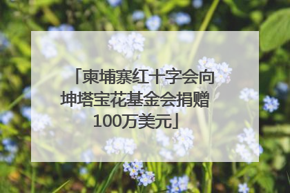 柬埔寨红十字会向坤塔宝花基金会捐赠100万美元