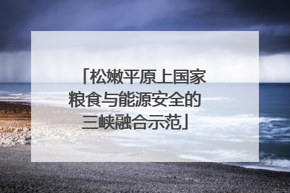 松嫩平原上国家粮食与能源安全的三峡融合示范