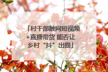 村干部触网短视频+直播带货 能否让乡村“抖”出圈