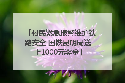 村民紧急报警维护铁路安全 国铁昆明局送上1000元奖金
