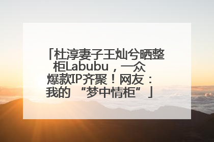 杜淳妻子王灿兮晒整柜Labubu，一众爆款IP齐聚！网友：我的 “梦中情柜”