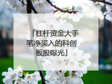 杠杆资金大手笔净买入的科创板股曝光