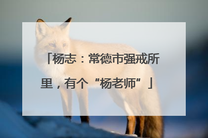 杨志：常德市强戒所里，有个“杨老师”