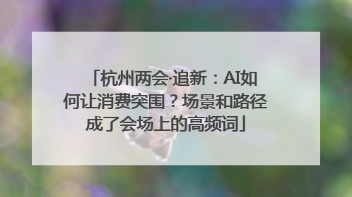 杭州两会·追新：AI如何让消费突围？场景和路径成了会场上的高频词