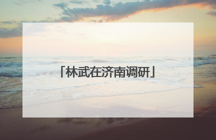 林武在济南调研