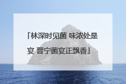 林深时见菌 味浓处是宴 晋宁菌宴正飘香