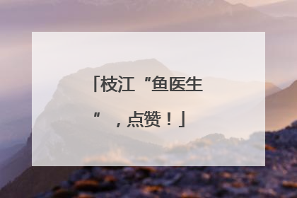 枝江“鱼医生”，点赞！