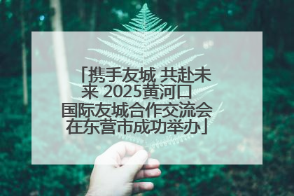 携手友城 共赴未来 2025黄河口国际友城合作交流会在东营市成功举办
