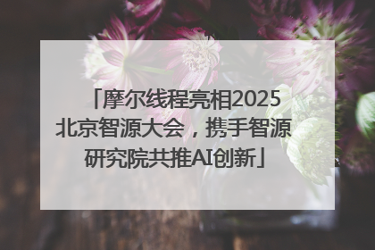 摩尔线程亮相2025北京智源大会，携手智源研究院共推AI创新
