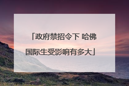 政府禁招令下 哈佛国际生受影响有多大