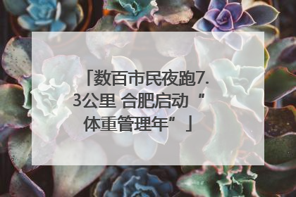 数百市民夜跑7.3公里 合肥启动“体重管理年”