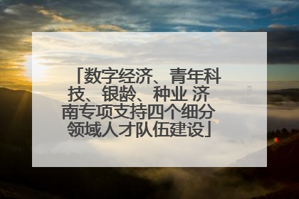 数字经济、青年科技、银龄、种业 济南专项支持四个细分领域人才队伍建设