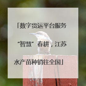 数字货运平台服务“智慧”春耕，江苏水产苗种销往全国