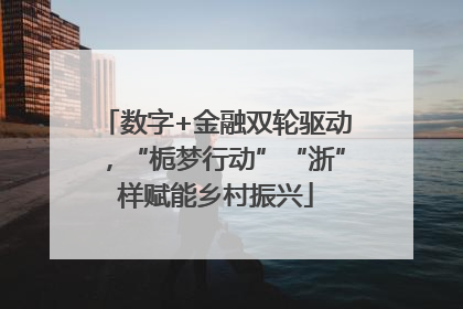 数字+金融双轮驱动，“栀梦行动”“浙”样赋能乡村振兴