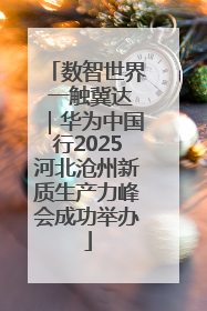 数智世界 一触冀达｜华为中国行2025河北沧州新质生产力峰会成功举办