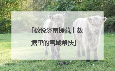 数说济南援藏丨数据里的雪域帮扶