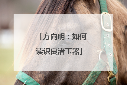 方向明：如何读识良渚玉器