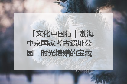 文化中国行｜渤海中京国家考古遗址公园：时光馈赠的宝藏 历史凝固的诗篇