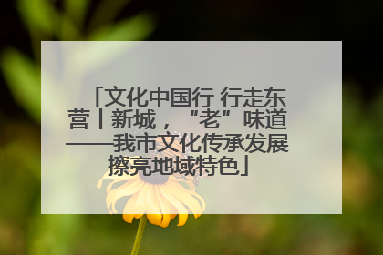 文化中国行 行走东营丨新城，“老”味道——我市文化传承发展擦亮地域特色