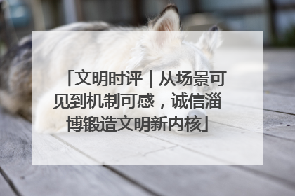 文明时评｜从场景可见到机制可感，诚信淄博锻造文明新内核