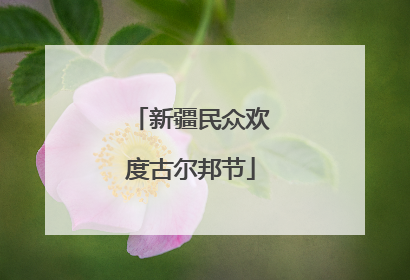 新疆民众欢度古尔邦节