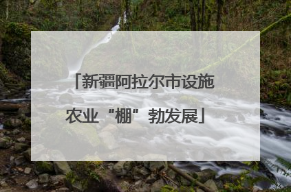 新疆阿拉尔市设施农业“棚”勃发展
