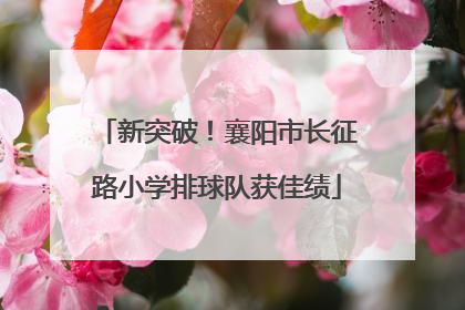 新突破！襄阳市长征路小学排球队获佳绩