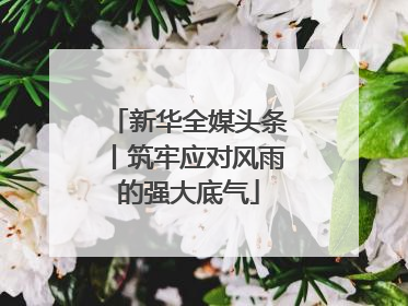 新华全媒头条丨筑牢应对风雨的强大底气
