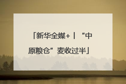 新华全媒+丨“中原粮仓”麦收过半