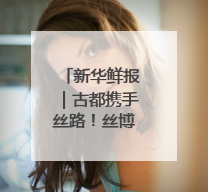 新华鲜报｜古都携手丝路！丝博会绽放新活力