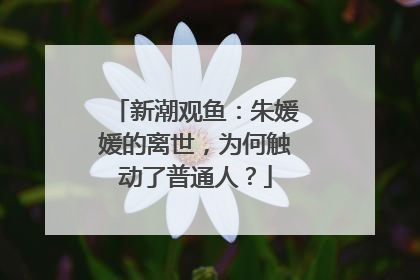 新潮观鱼：朱媛媛的离世，为何触动了普通人？