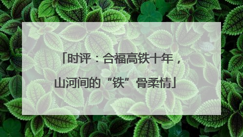 时评：合福高铁十年，山河间的“铁”骨柔情