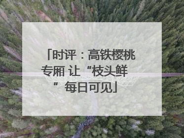 时评：高铁樱桃专厢 让“枝头鲜”每日可见