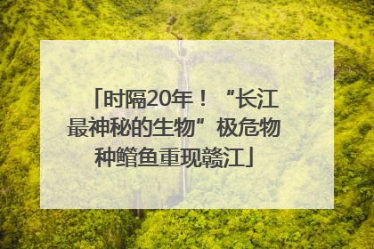 时隔20年！“长江最神秘的生物”极危物种鳤鱼重现赣江