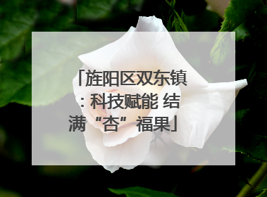 旌阳区双东镇：科技赋能 结满“杏”福果