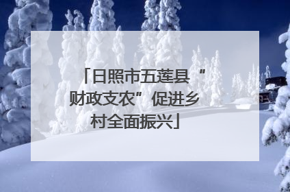 日照市五莲县“财政支农”促进乡村全面振兴