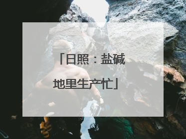 日照：盐碱地里生产忙