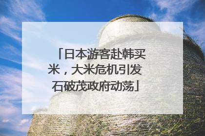 日本游客赴韩买米，大米危机引发石破茂政府动荡