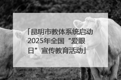 昆明市教体系统启动2025年全国“爱眼日”宣传教育活动