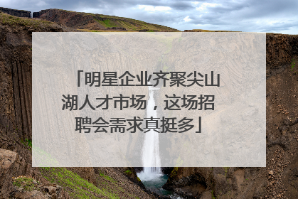 明星企业齐聚尖山湖人才市场，这场招聘会需求真挺多