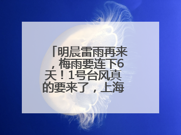 明晨雷雨再来，梅雨要连下6天！1号台风真的要来了，上海天气或有变！