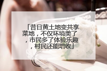 昔日黄土地变共享菜地，不仅环境美了，市民多了体验乐趣，村民还能增收