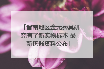 晋南地区金元葬具研究有了新实物标本 最新挖掘资料公布