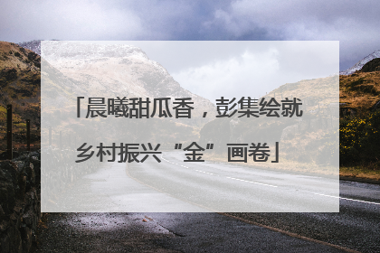 晨曦甜瓜香，彭集绘就乡村振兴“金”画卷