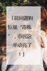 晨间遛狗惊现“毒株”，市民这一举动亮了！