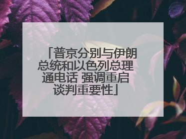 普京分别与伊朗总统和以色列总理通电话 强调重启谈判重要性