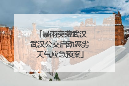 暴雨突袭武汉 武汉公交启动恶劣天气应急预案