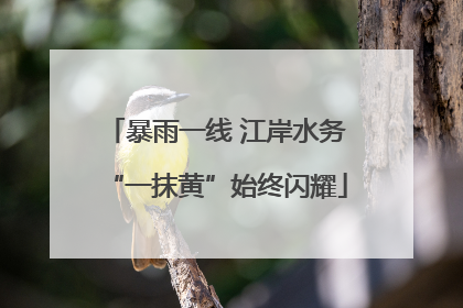 暴雨一线 江岸水务“一抹黄”始终闪耀
