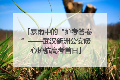 暴雨中的“护考答卷”——武汉新洲公安暖心护航高考首日